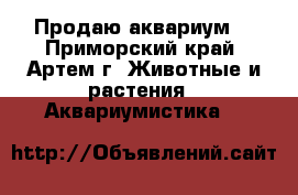 Продаю аквариум. - Приморский край, Артем г. Животные и растения » Аквариумистика   